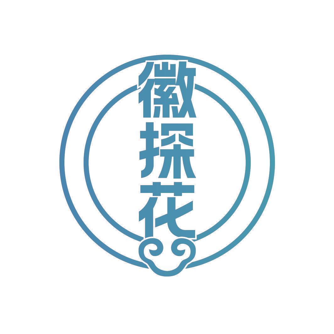 徽探花