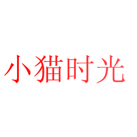小猫时光