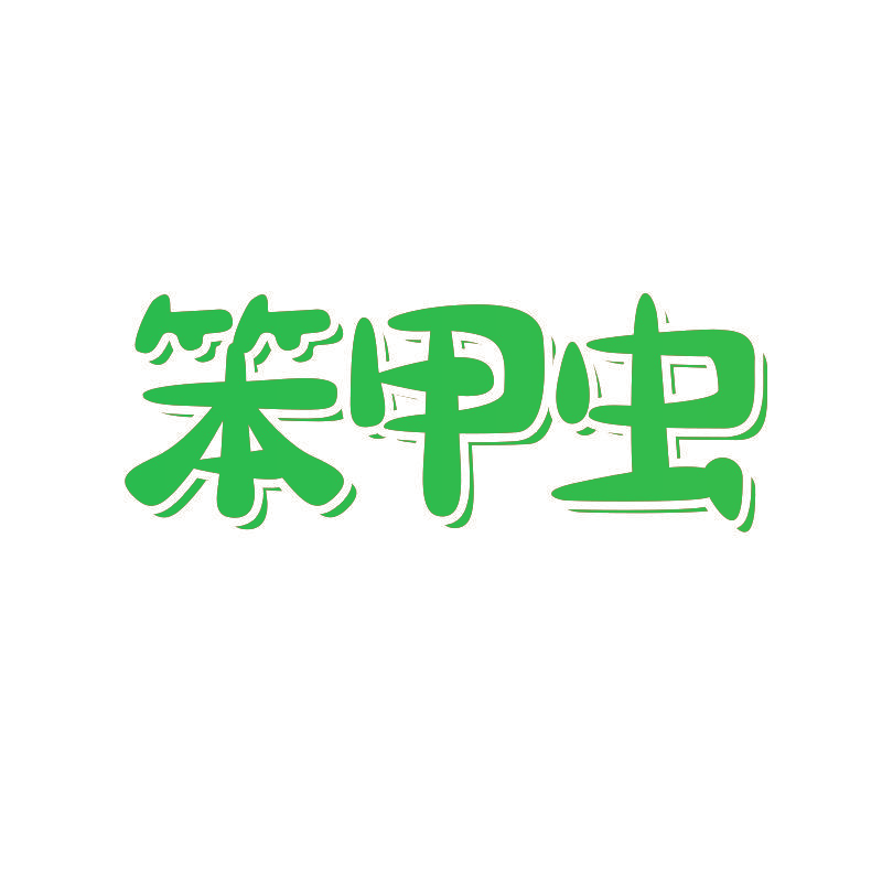 笨甲虫