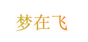 梦在飞