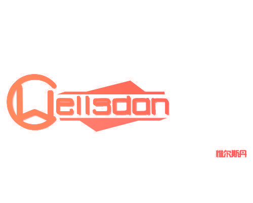 WELLSDAN 惟尔斯丹