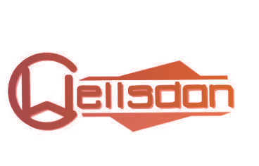 WELLSDAN
