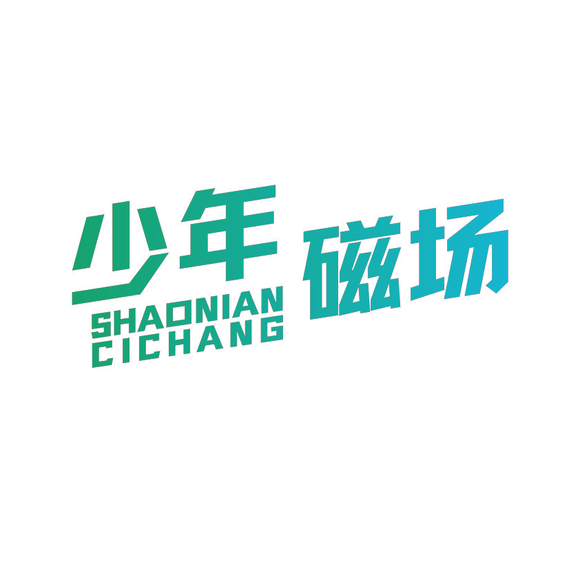 少年磁场