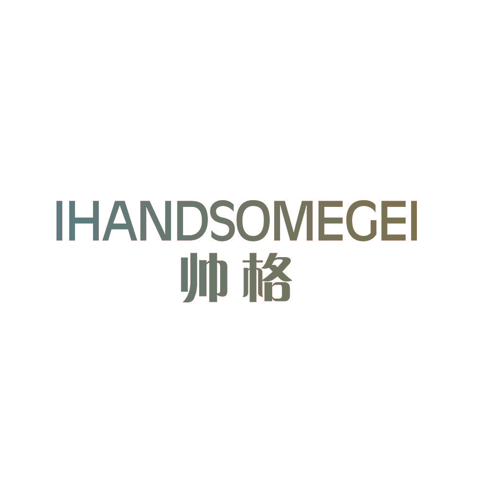 IHANDSOMEGEI 帅格