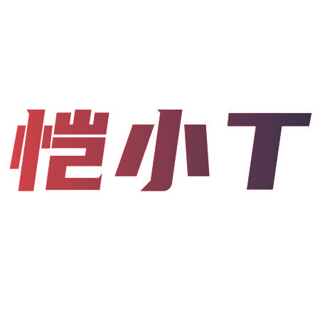 恺小T