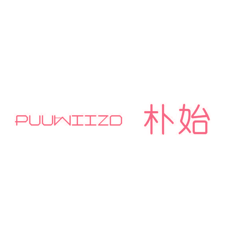 朴始 PUUWIIZD
