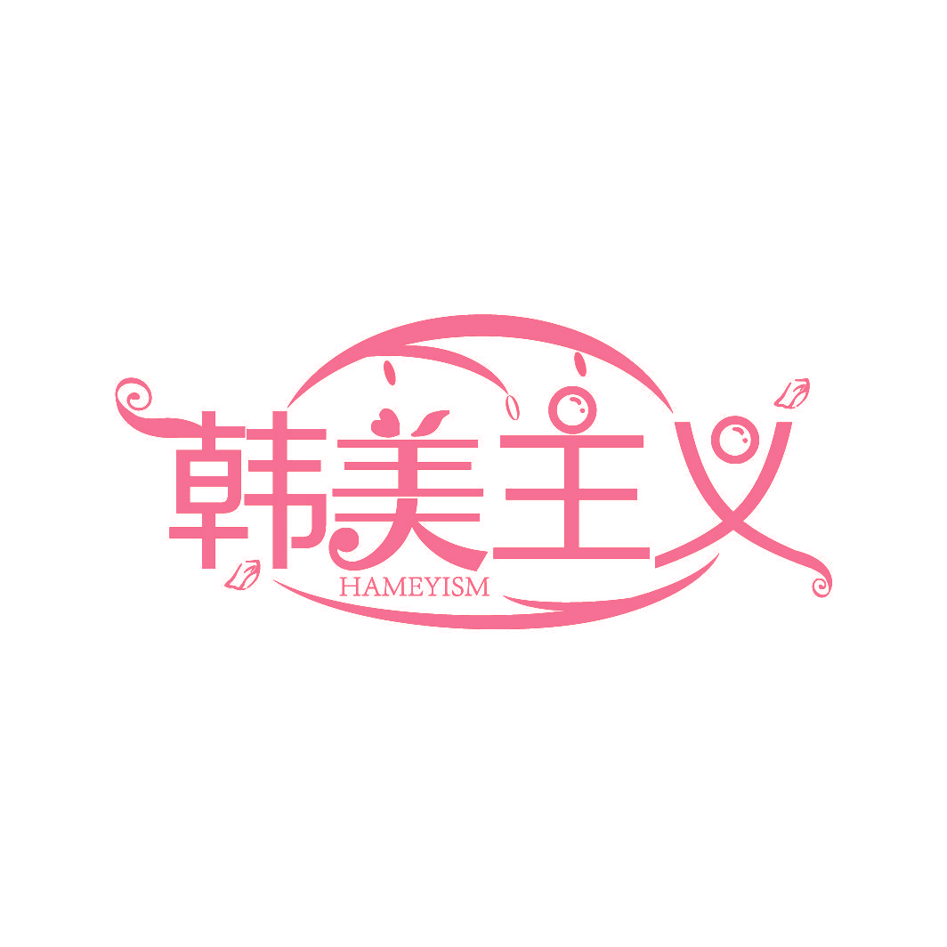 韩美主义 HAMEYISM