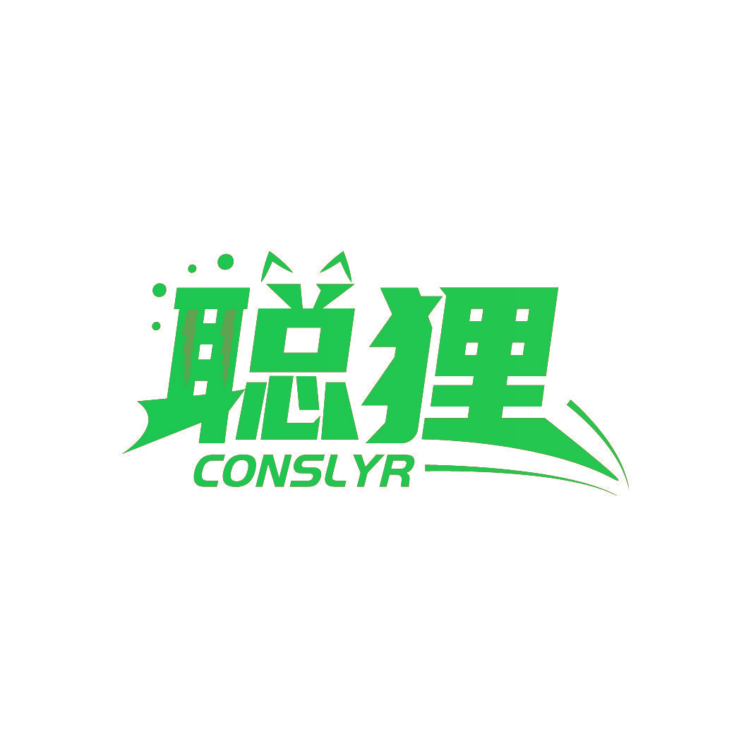聪狸 CONSLYR