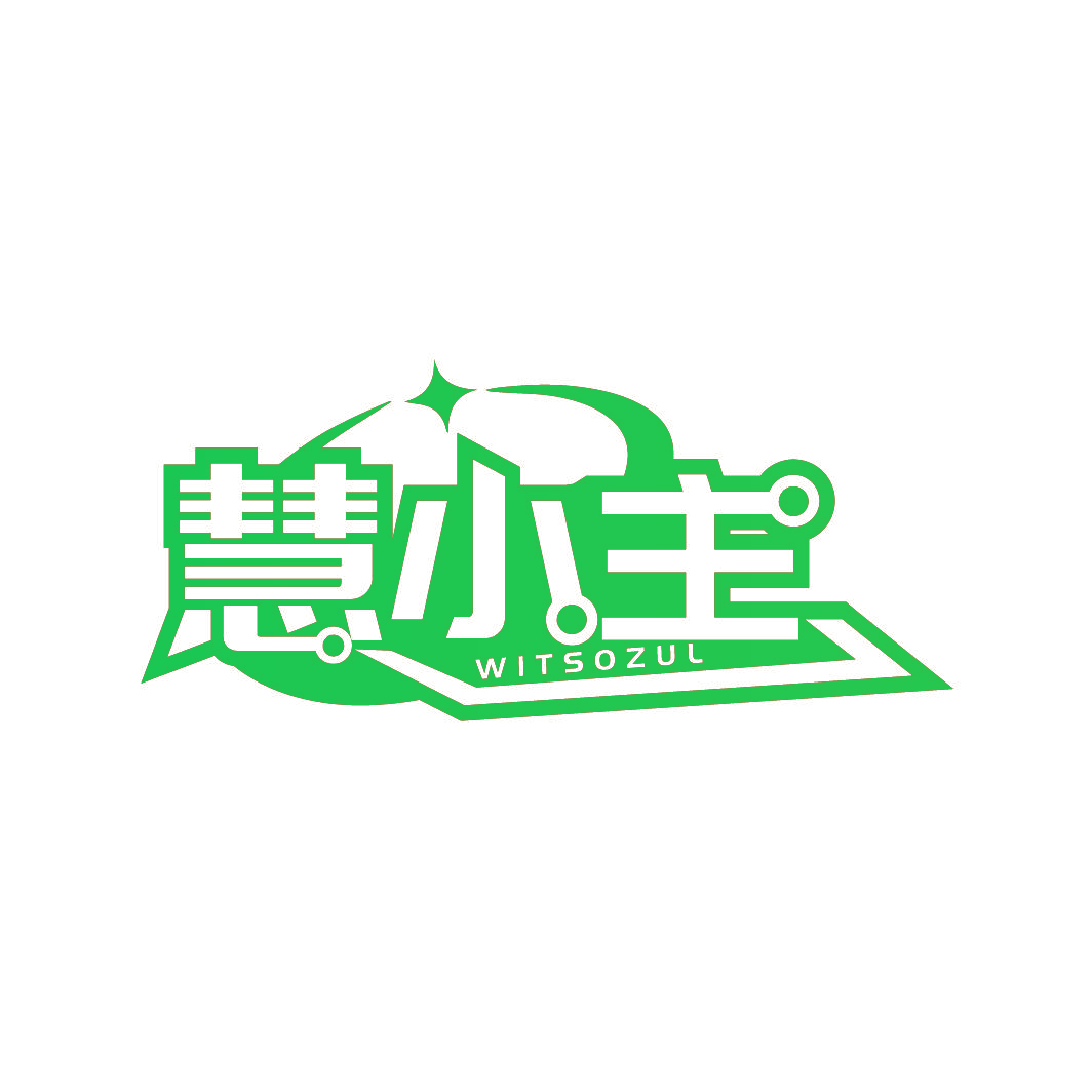 慧小主 WITSOZUL