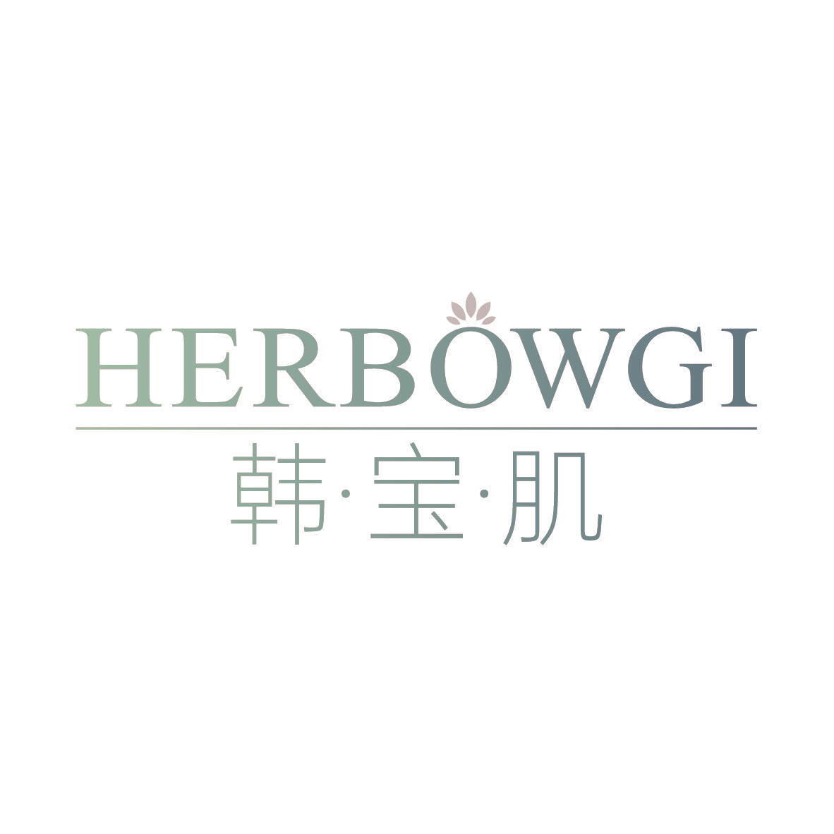 韩·宝·肌 HERBOWGI