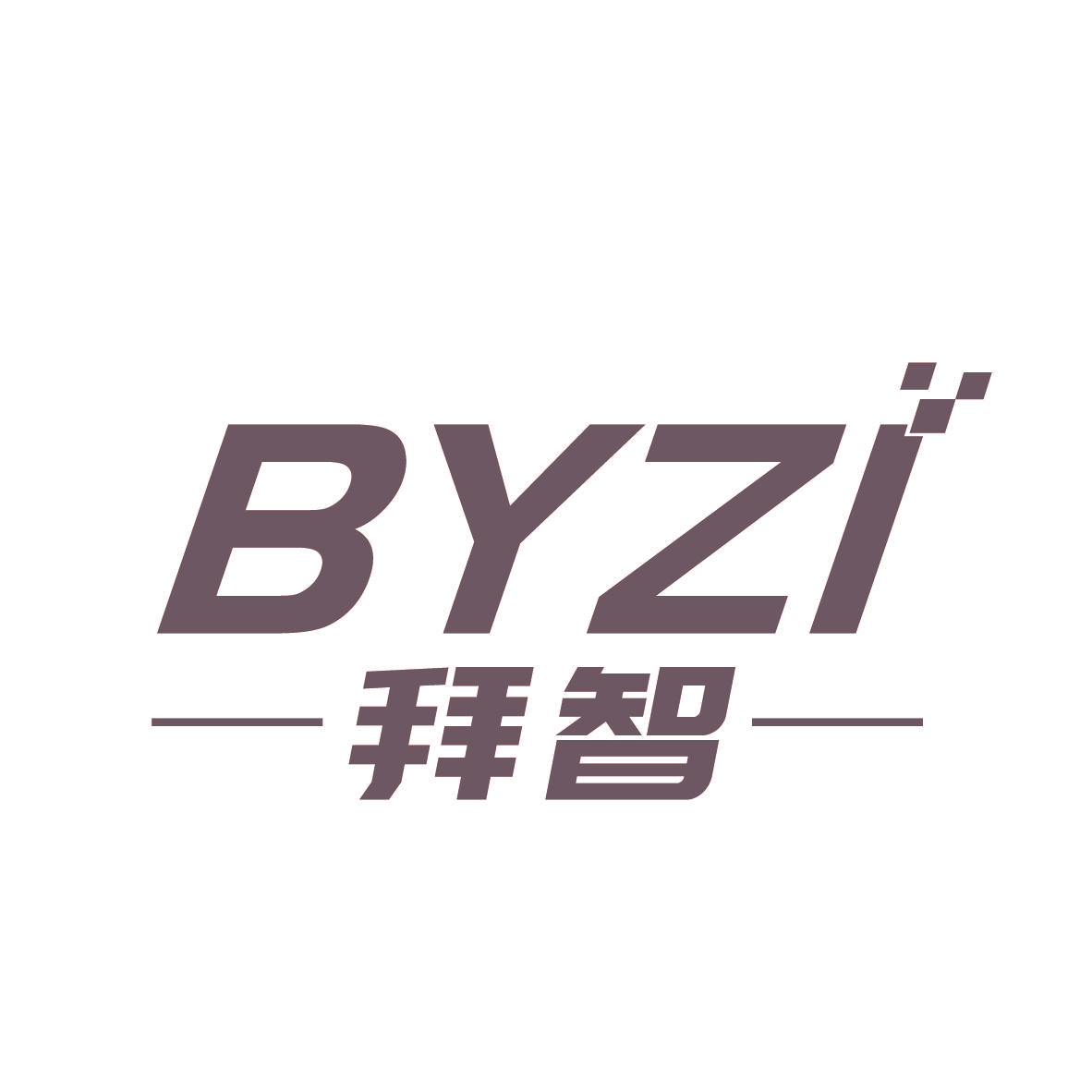 BYZI 拜智