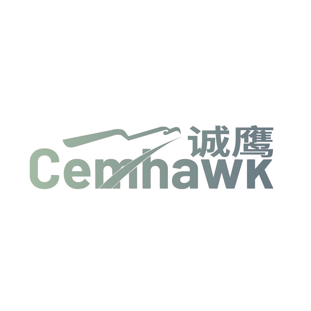诚鹰 CEMHAWK