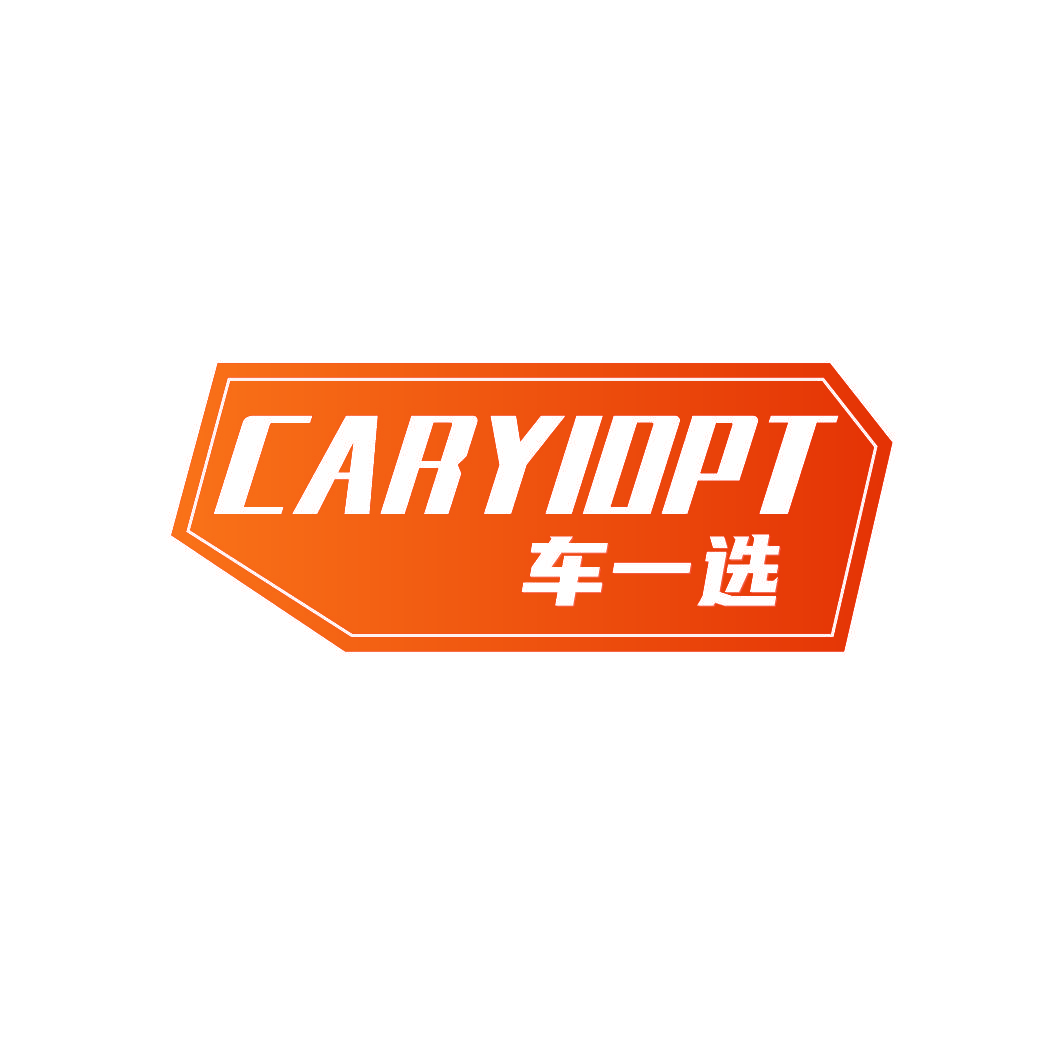 车一选 CARYIOPT