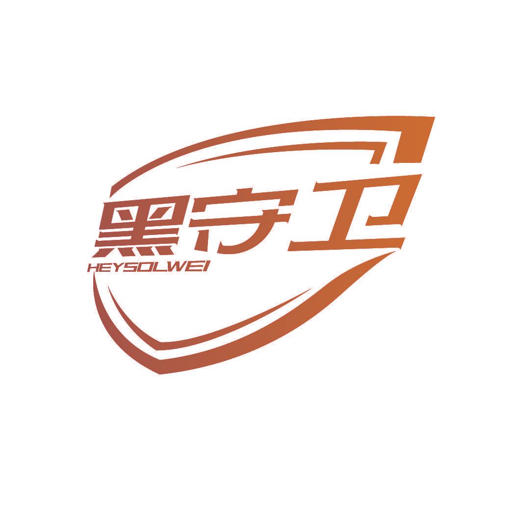 黑守卫 HEYSOLWEI