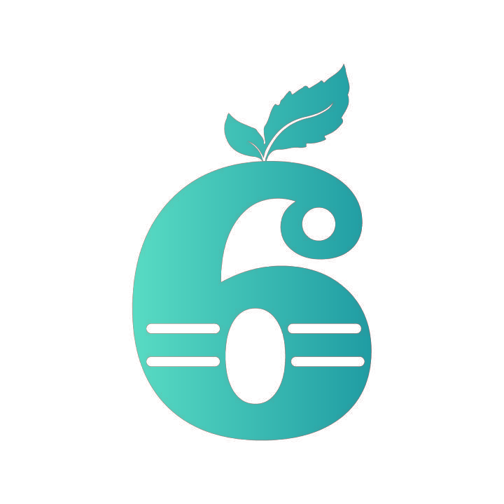 6