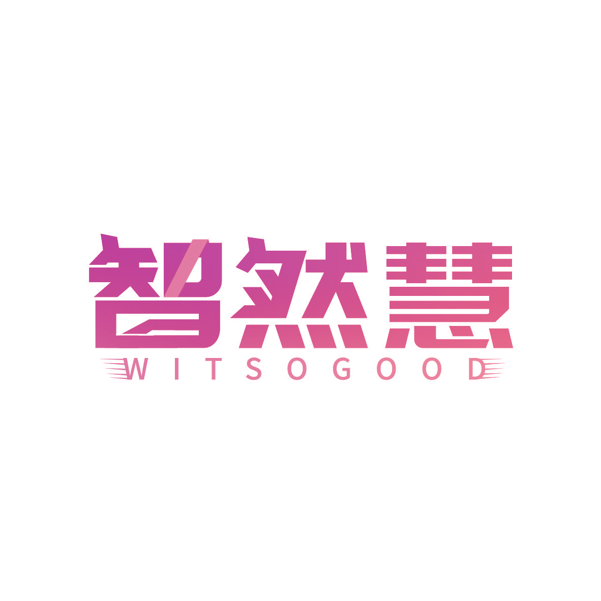 智然慧 WITSOGOOD