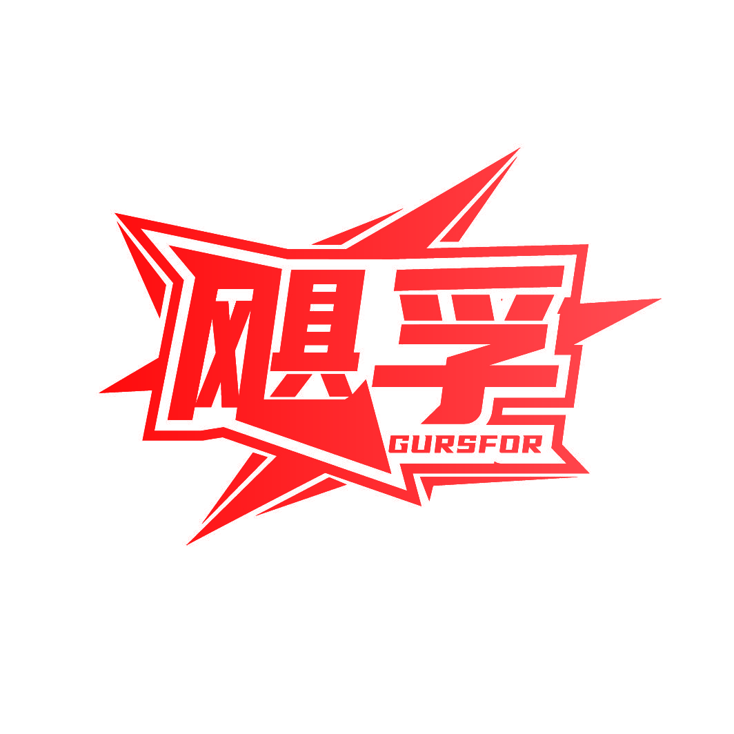 飓孚 GURSFOR