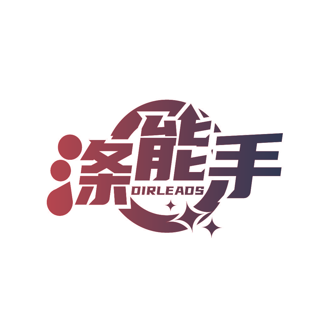 涤能手 DIRLEADS