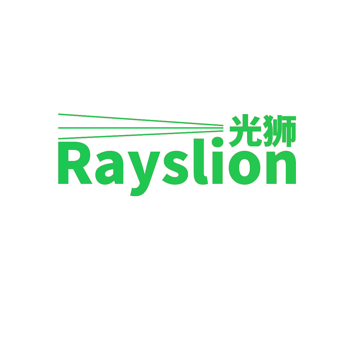 光狮 RAYSLION
