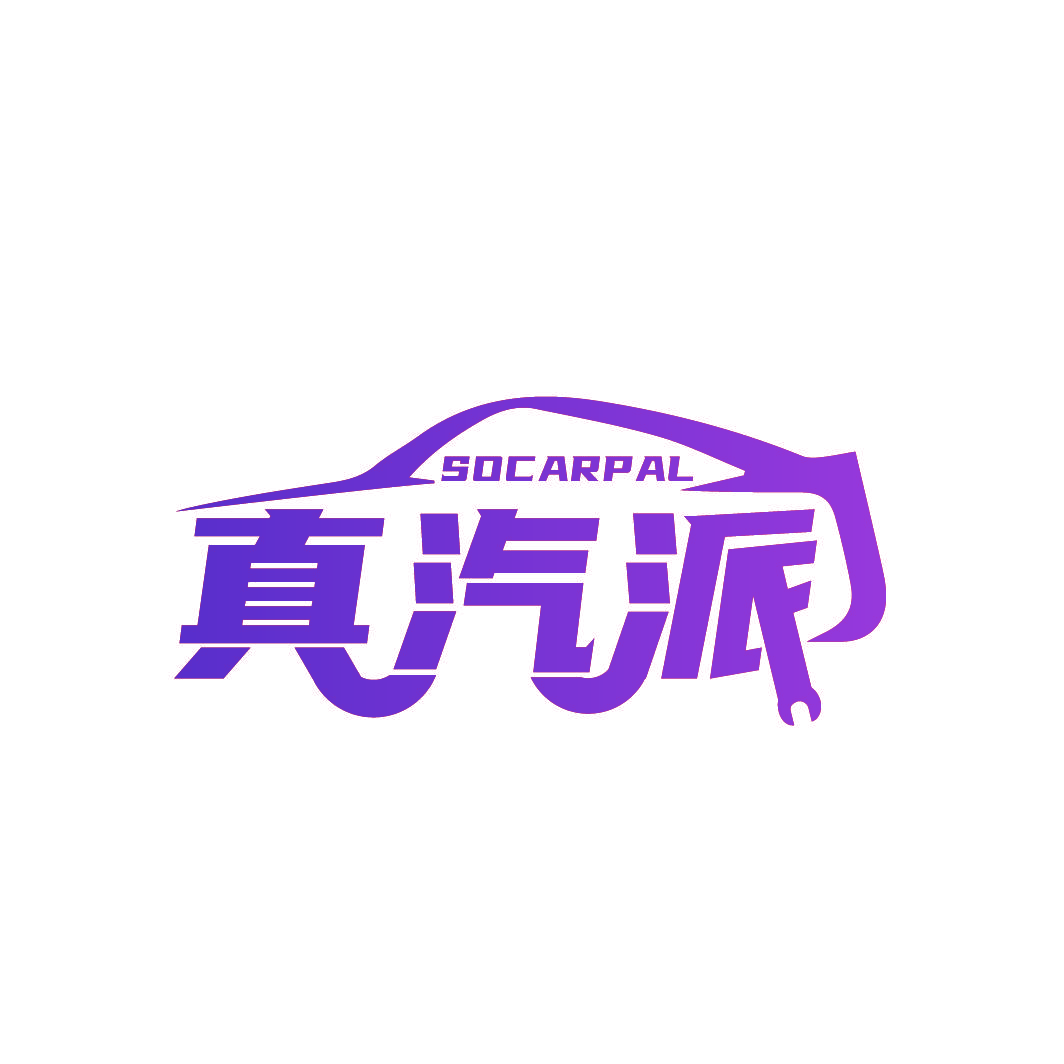真汽派 SOCARPAL