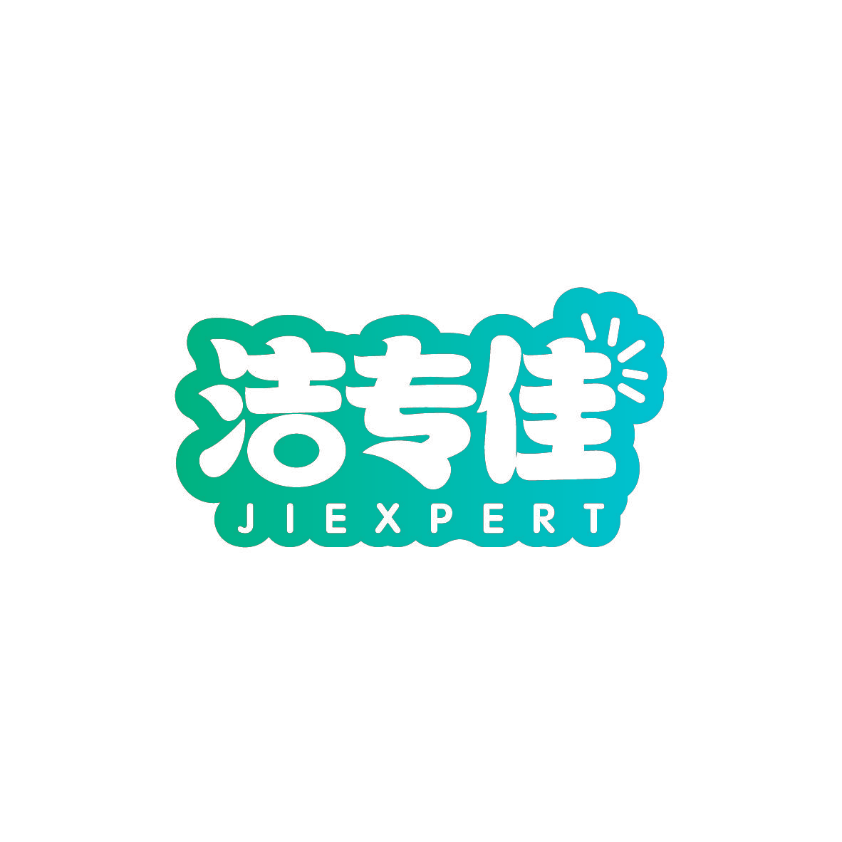 洁专佳 JIEXPERT