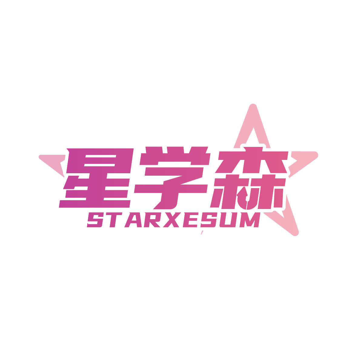 星学森 STARXESUM