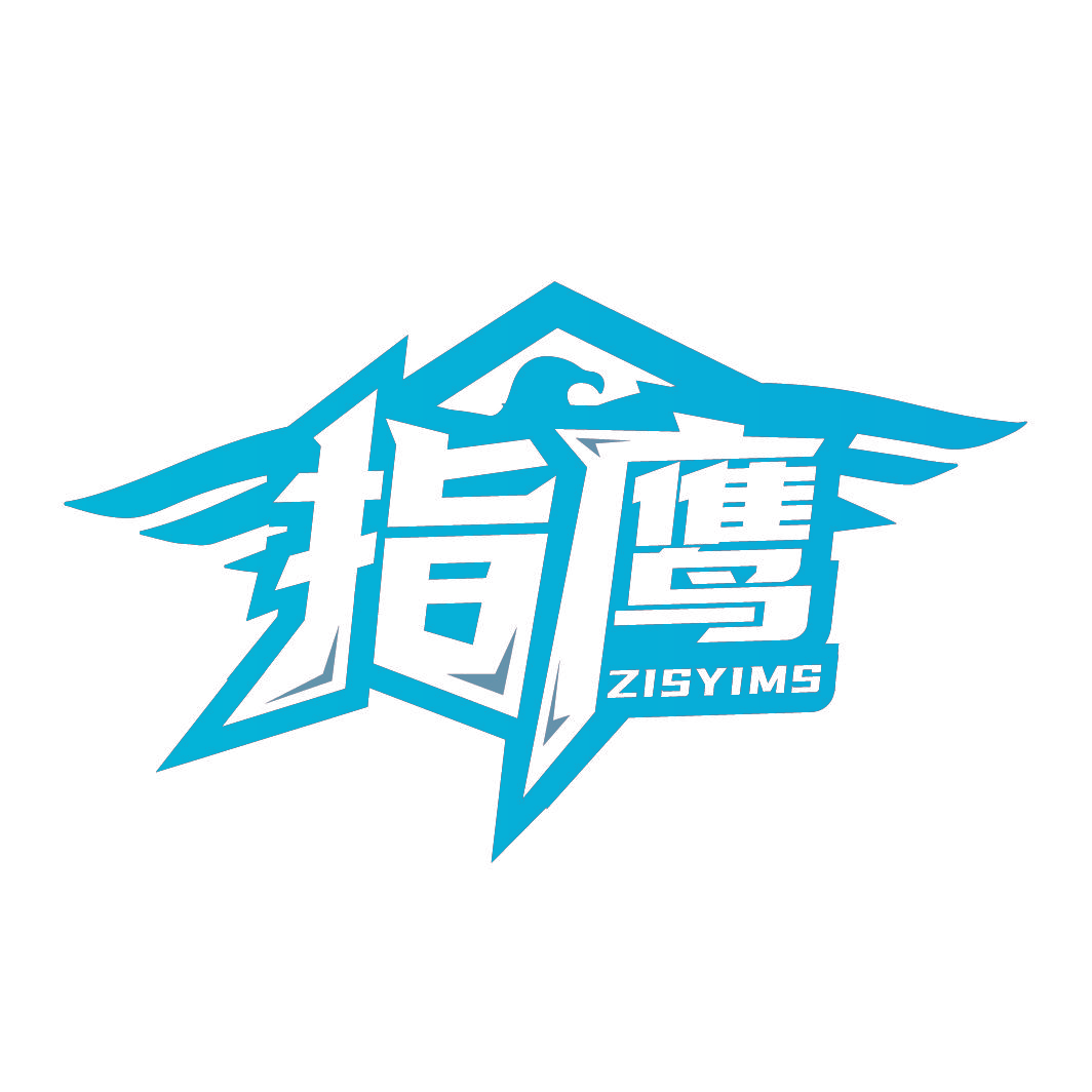 指鹰 ZISYIMS