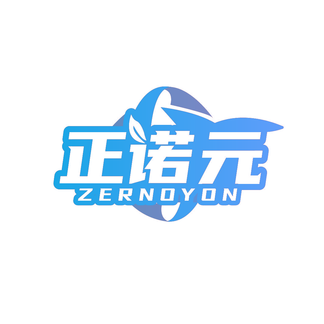 正诺元 ZERNOYON