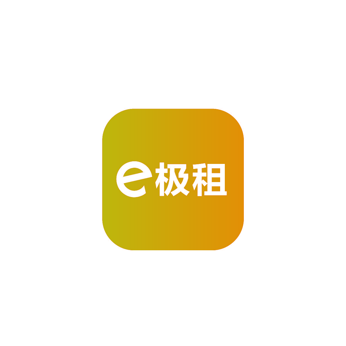 E 极租