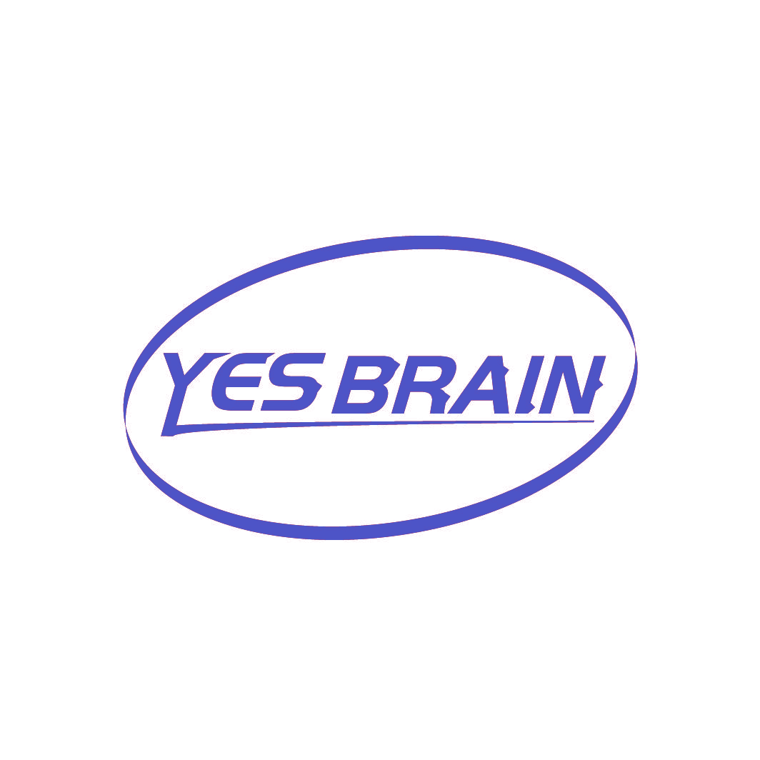 YES BRAIN