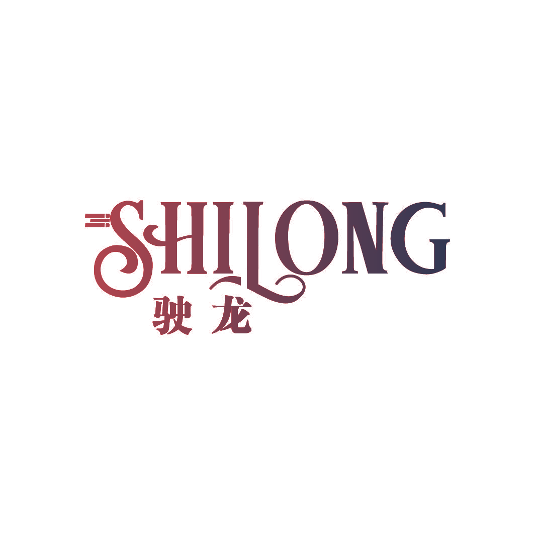 驶龙