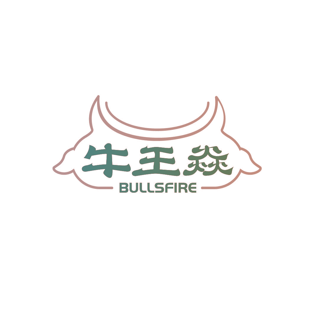 牛王焱 BULLSFIRE