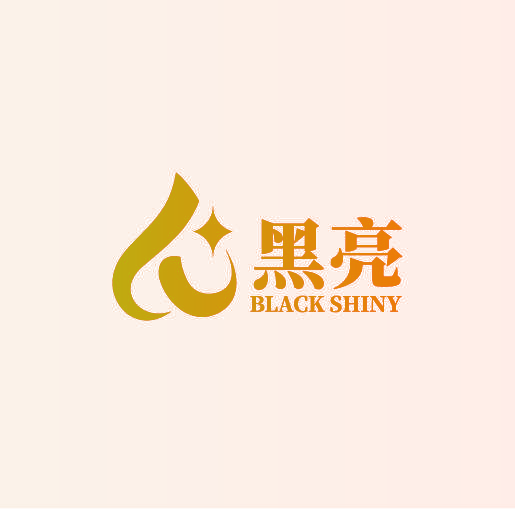 黑亮 BLACK SHINY