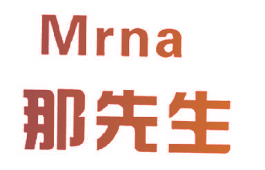 那先生 MRNA