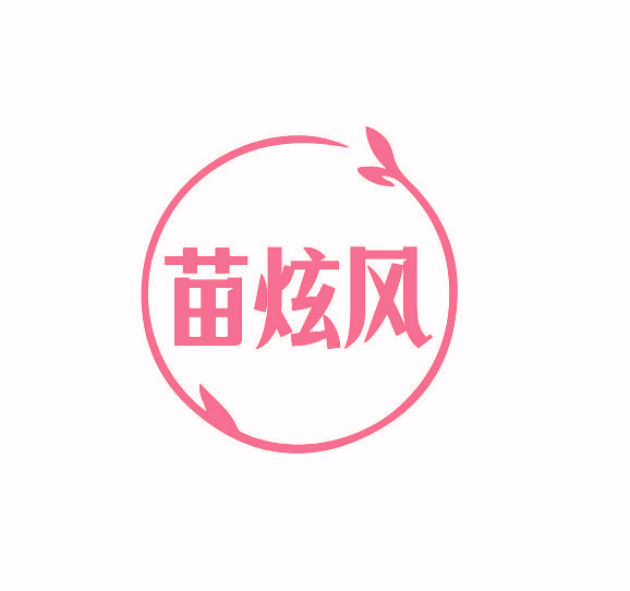苗炫风