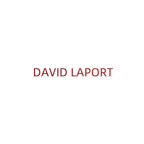 DAVID LAPORT