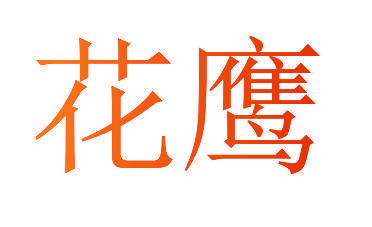花鹰