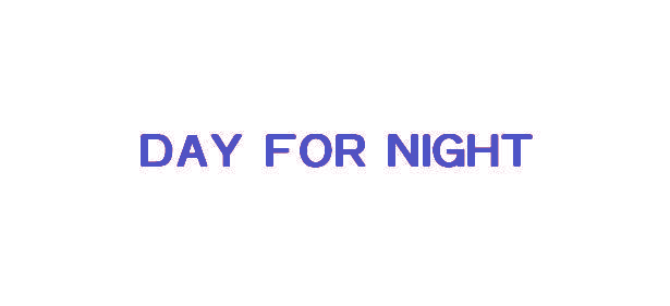 DAY FOR NIGHT