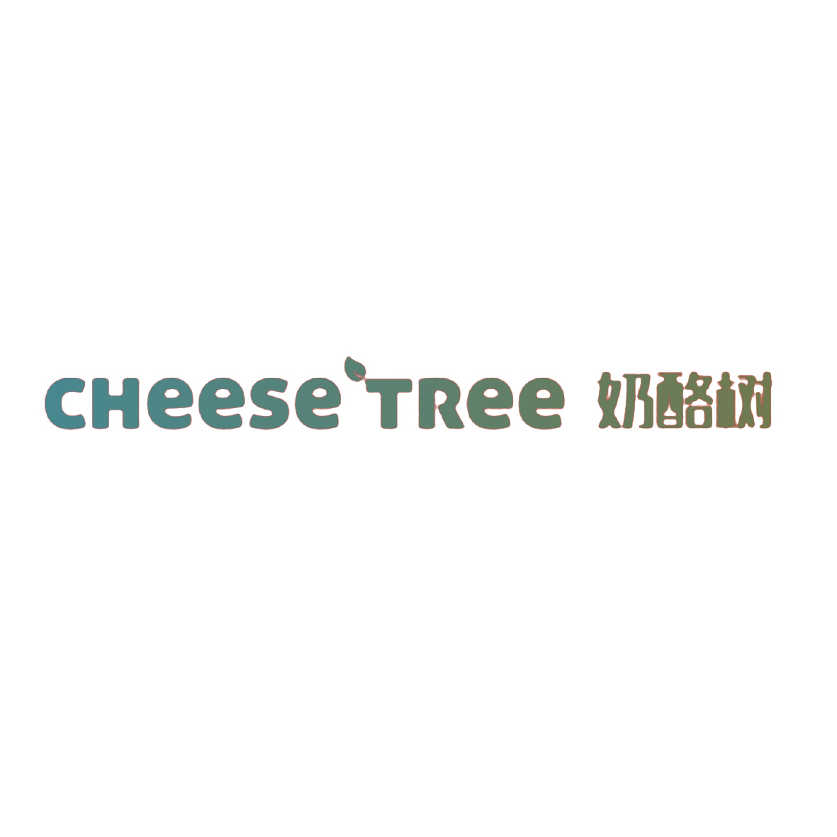 奶酪树 CHEESE TREE