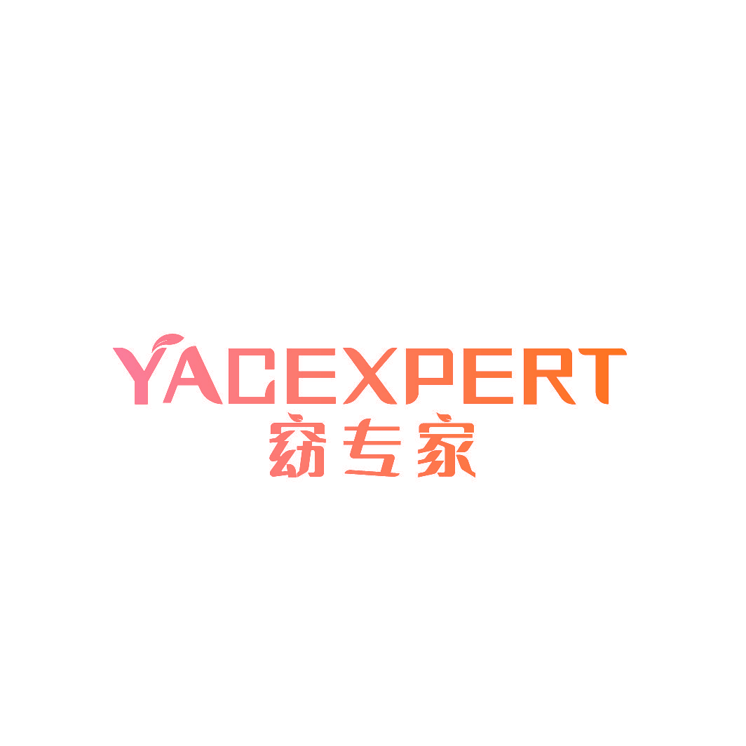 YACEXPERT 窈专家