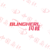 BLINGHERL 闪核