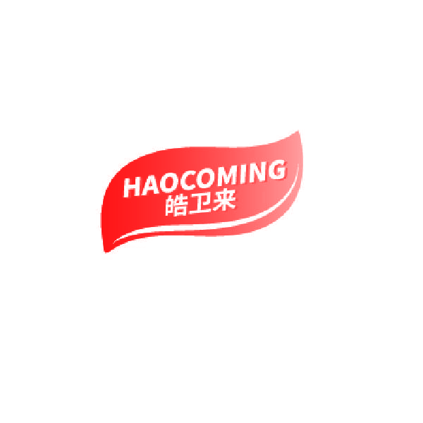 皓卫来 HAOCOMING