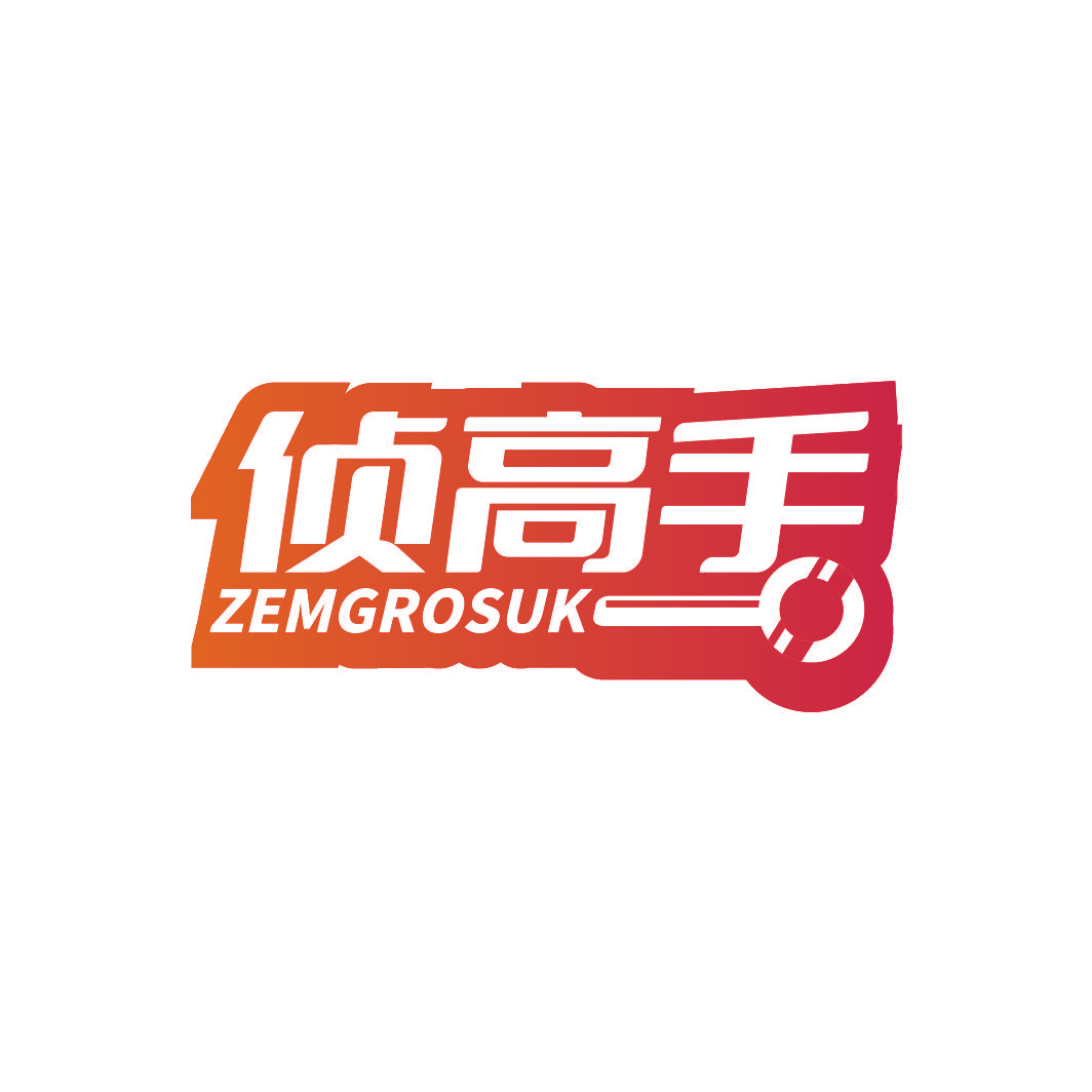 侦高手 ZEMGROSUK