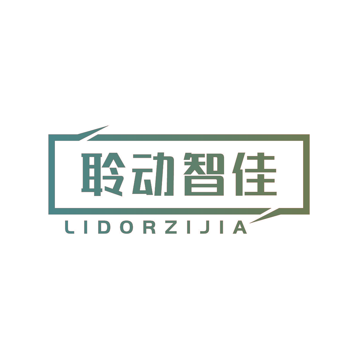 聆动智佳 LIDORZIJIA