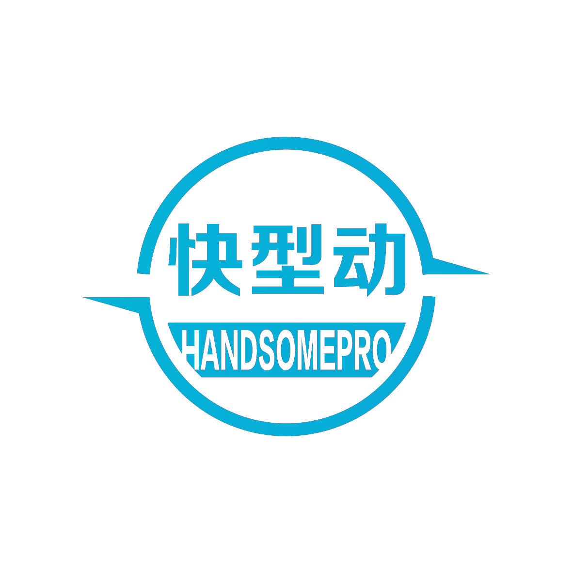 快型动 HANDSOMEPRO