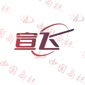 宣飞