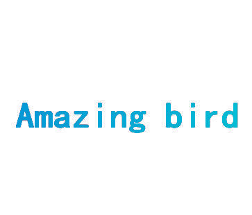 AMAZING BIRD