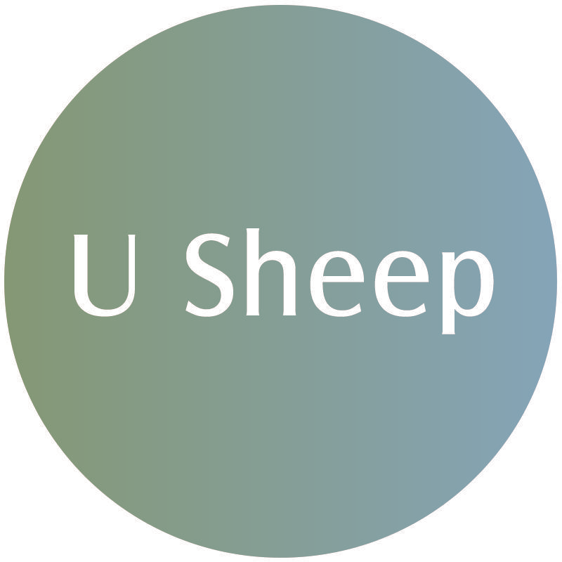 U SHEEP