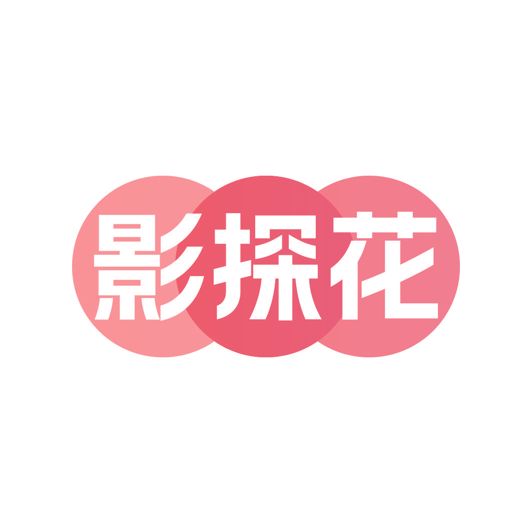 影探花