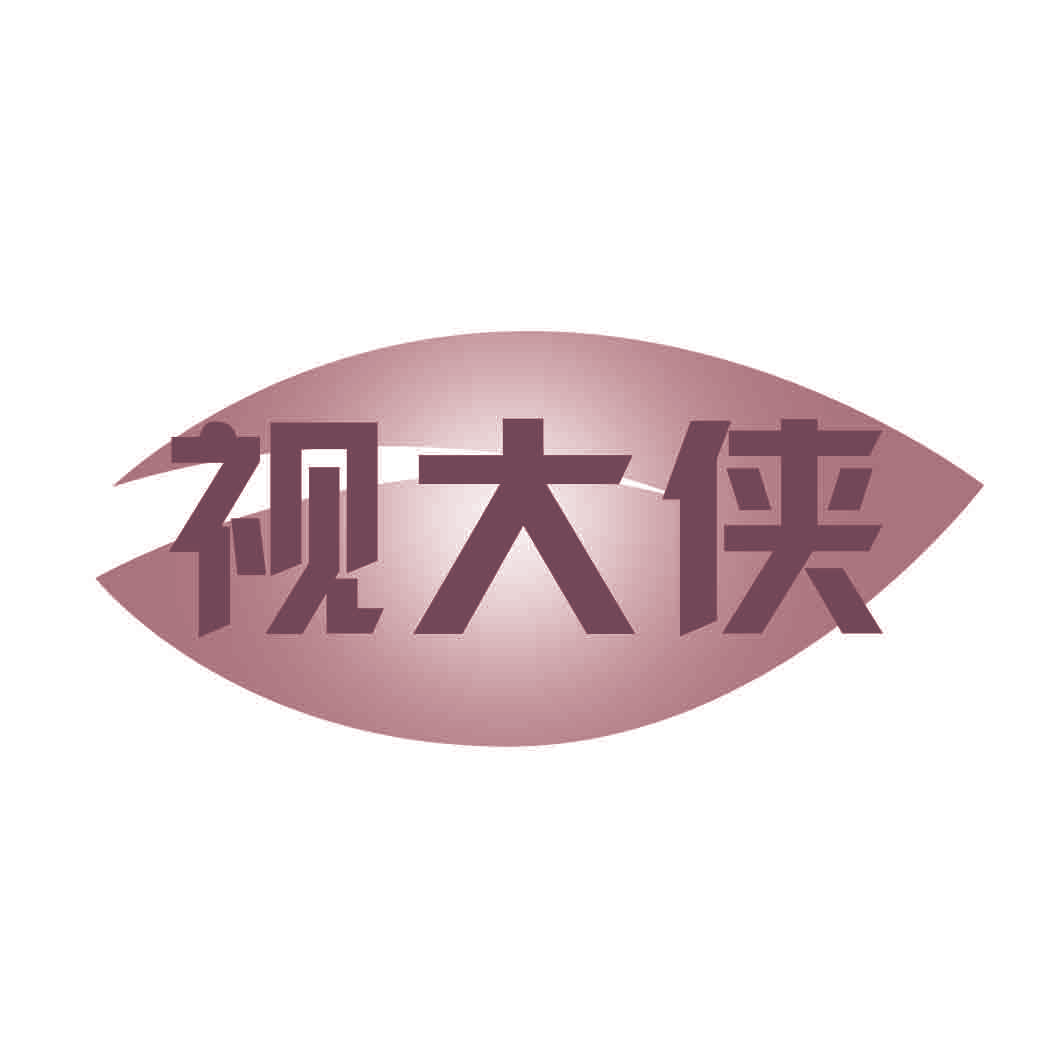 视大侠